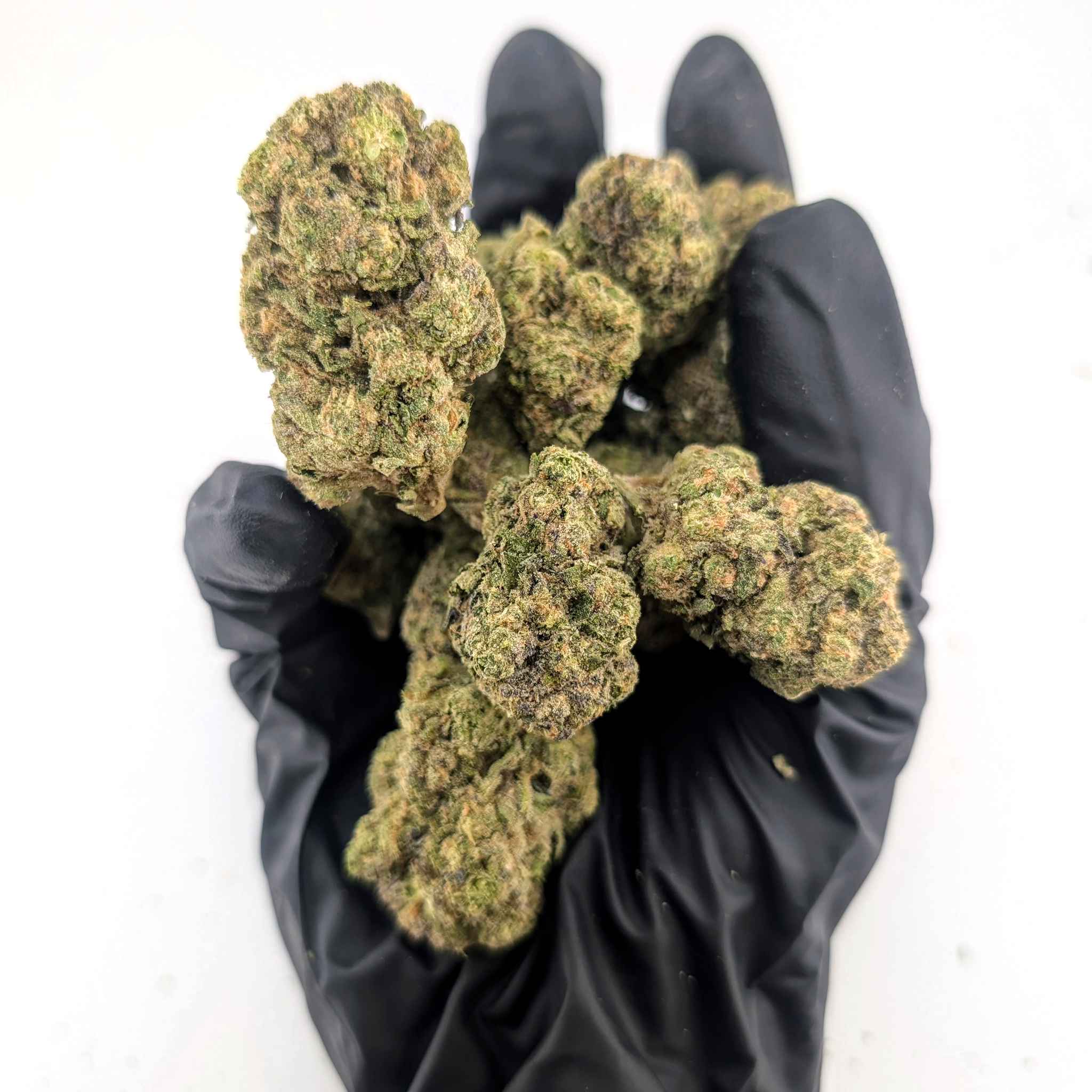 Waffle Cone - 24.47%- Exotic Flower