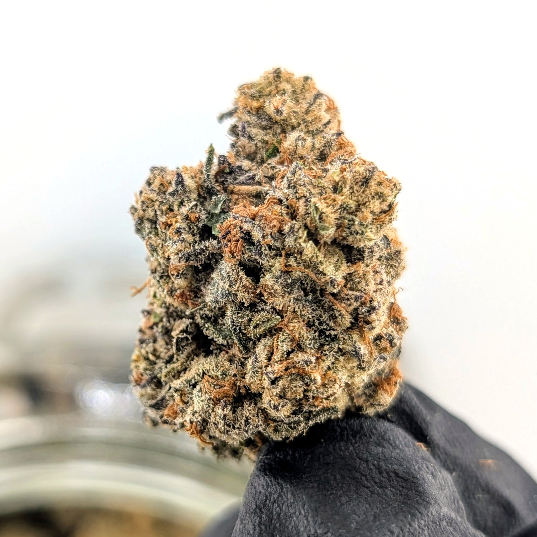White Bugatti - 28.37%- Exotic Flower