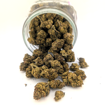White Runtz - 20.07%- Exotic Flower