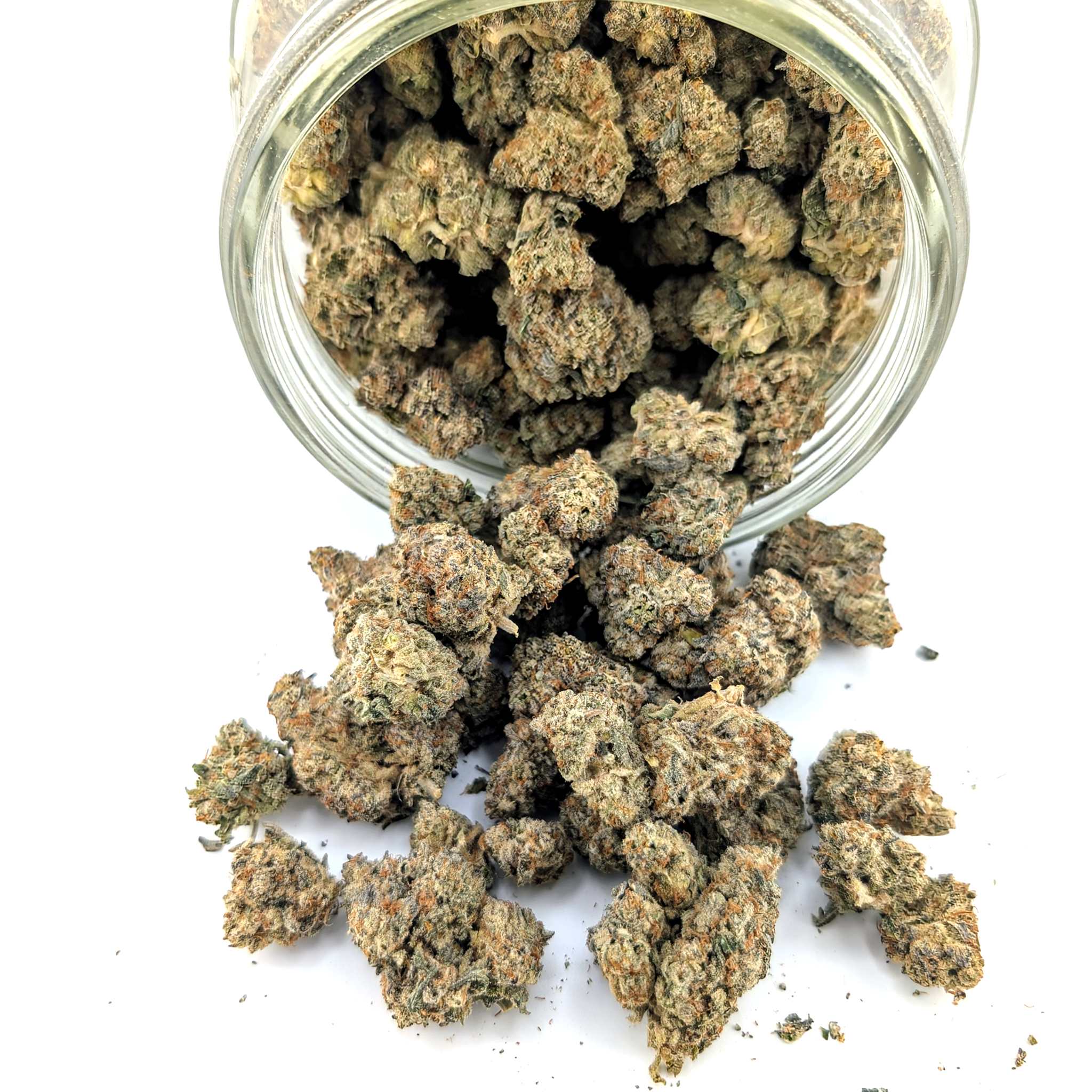 White Bugatti - 28.37%- Exotic Flower