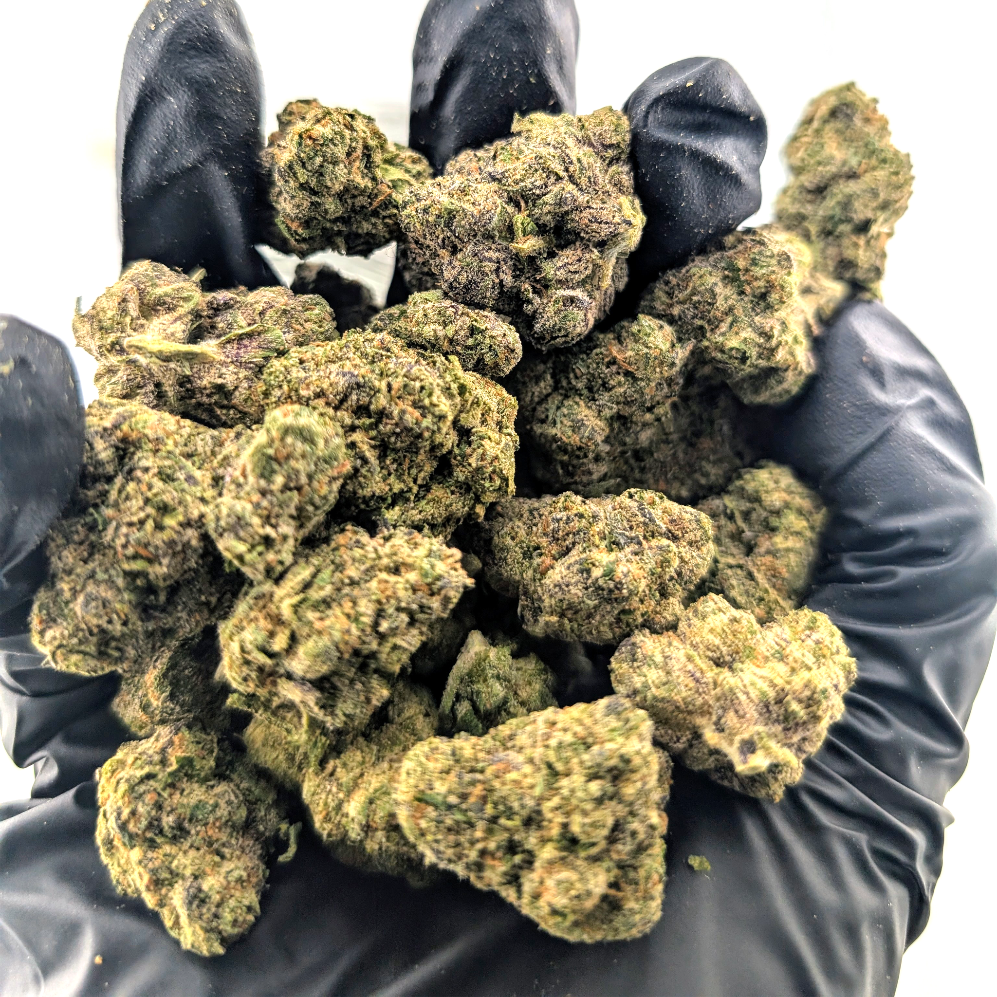 Zookies - 25.69%- Exotic Flower