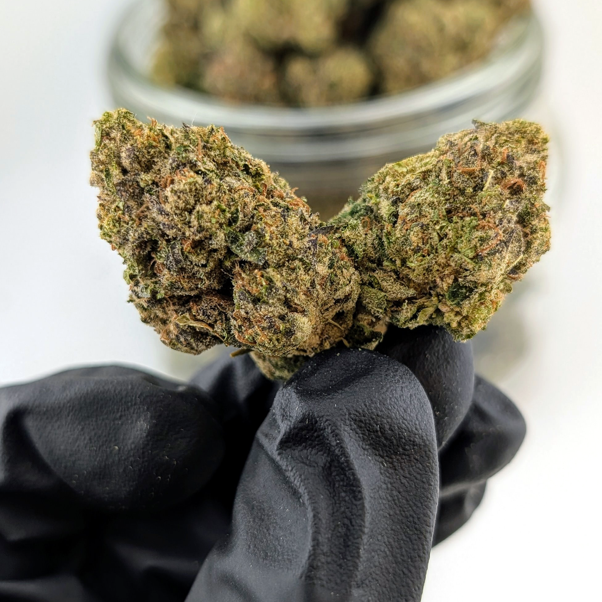Amnesia Haze - 24.32%- Exotic Flower