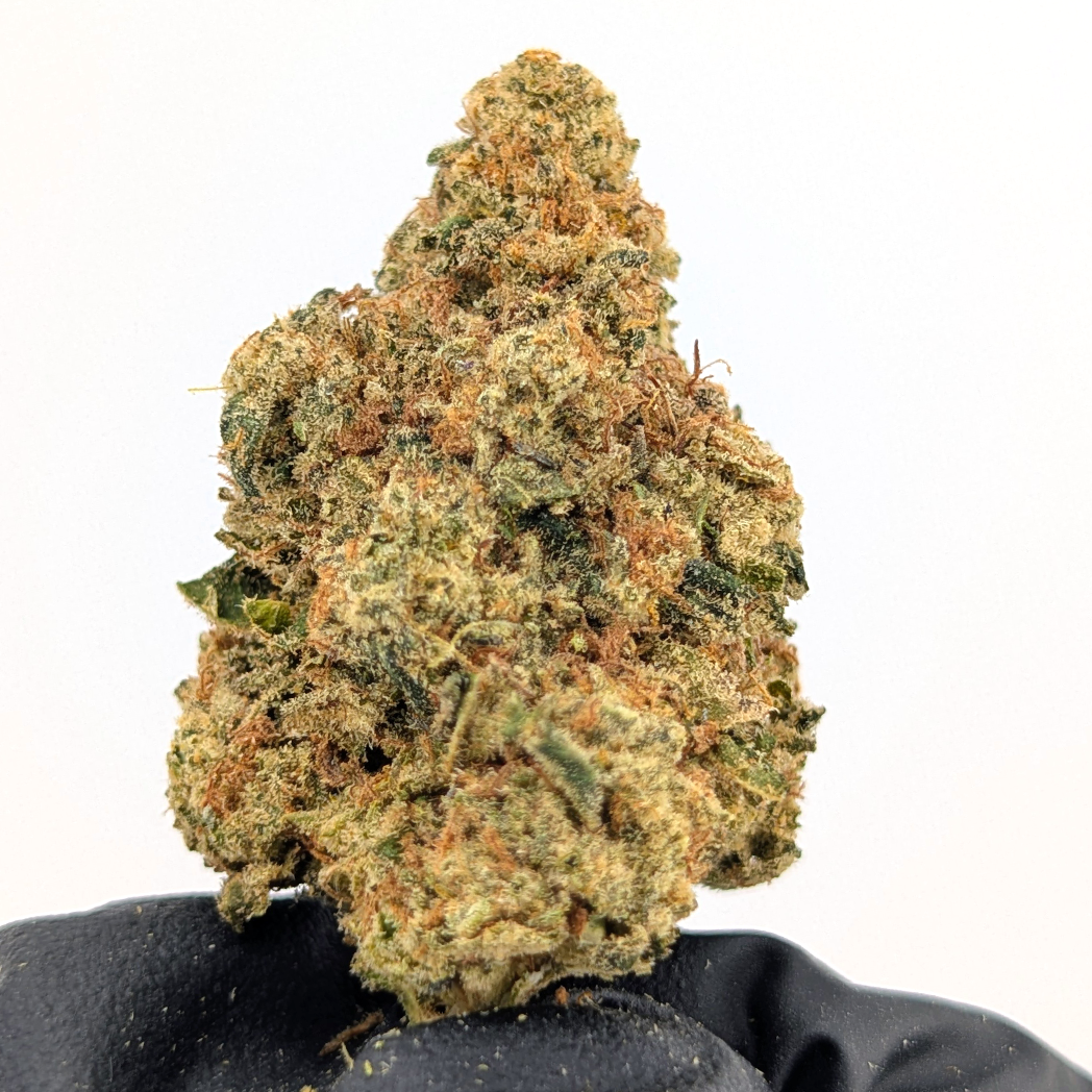 Cherry Sorbet - 24.04% - Strong Flower