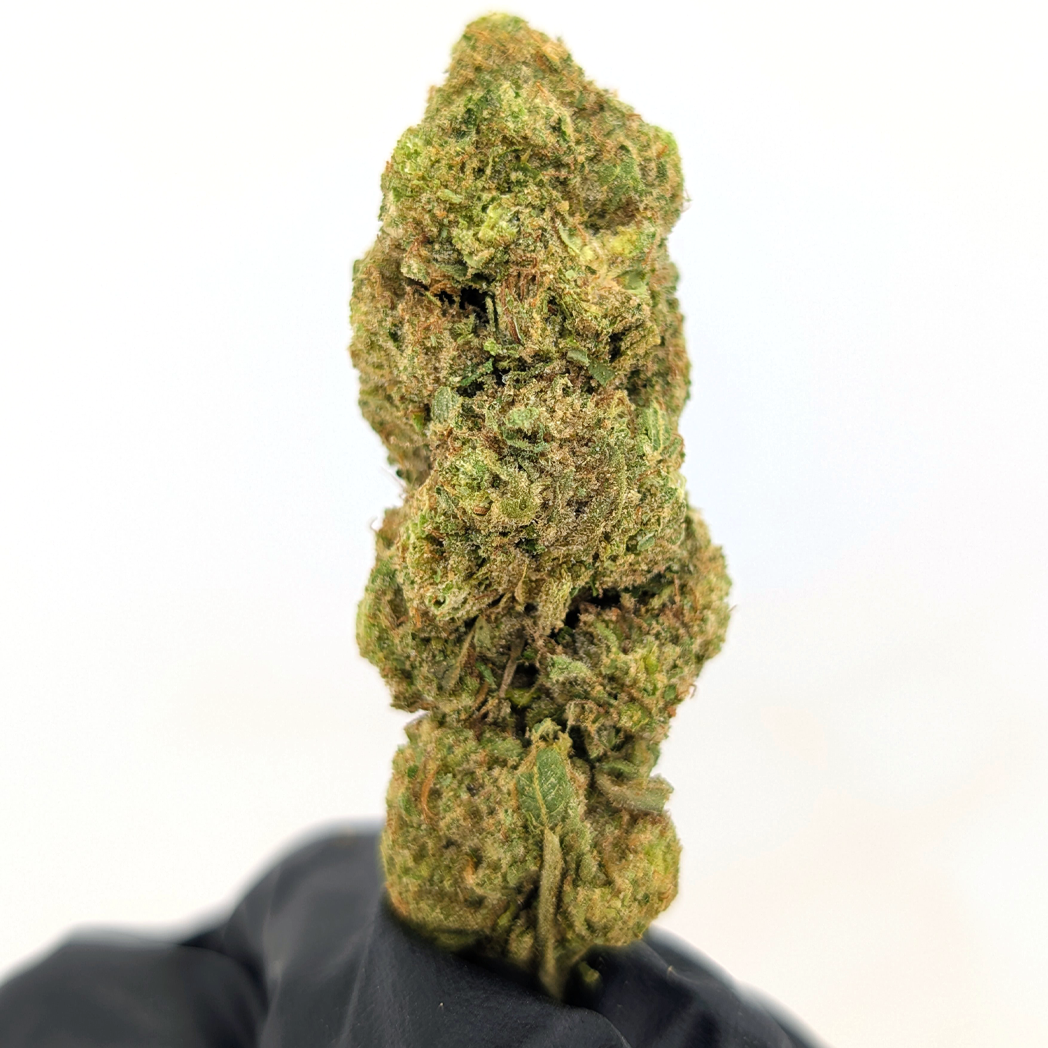 Grease Monkey - 23.27% - Strong Flower