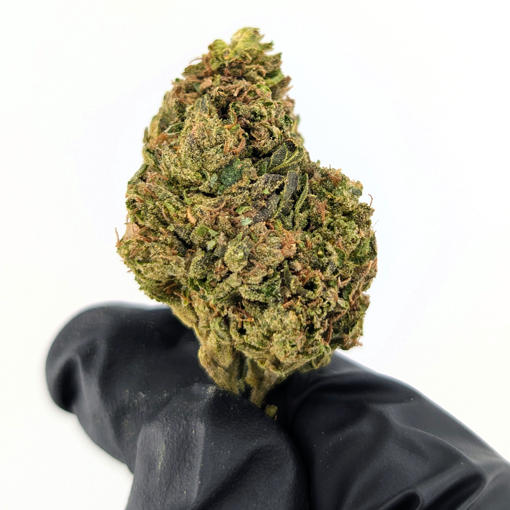 Lemon OG - 29.28%- Strong Flower