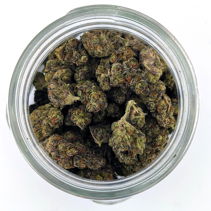 Mochi - 25.87% - Exotic Flower