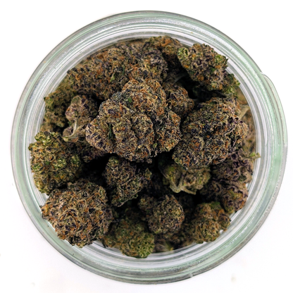 Pink Champagne Flower