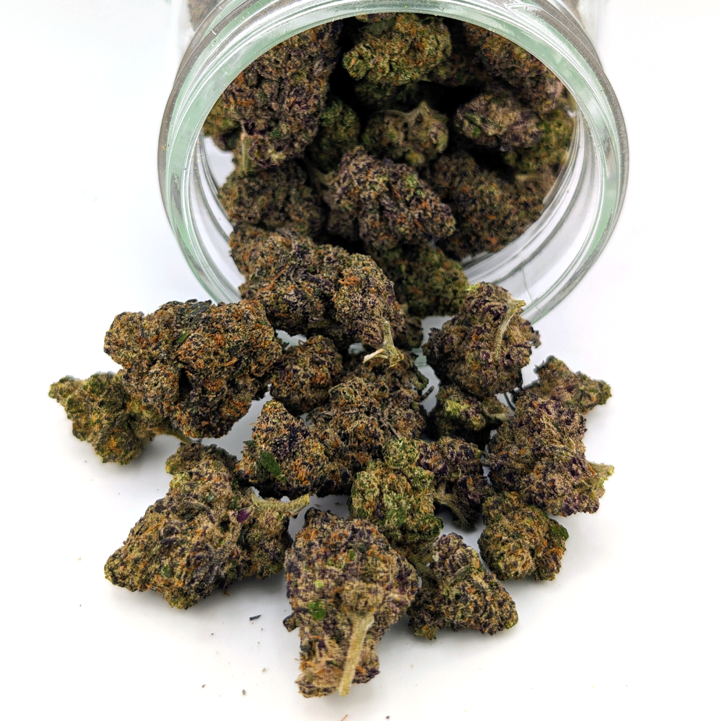 Pink Champagne Flower