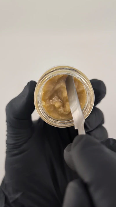 Papaya Juice Live Rosin Concentrate