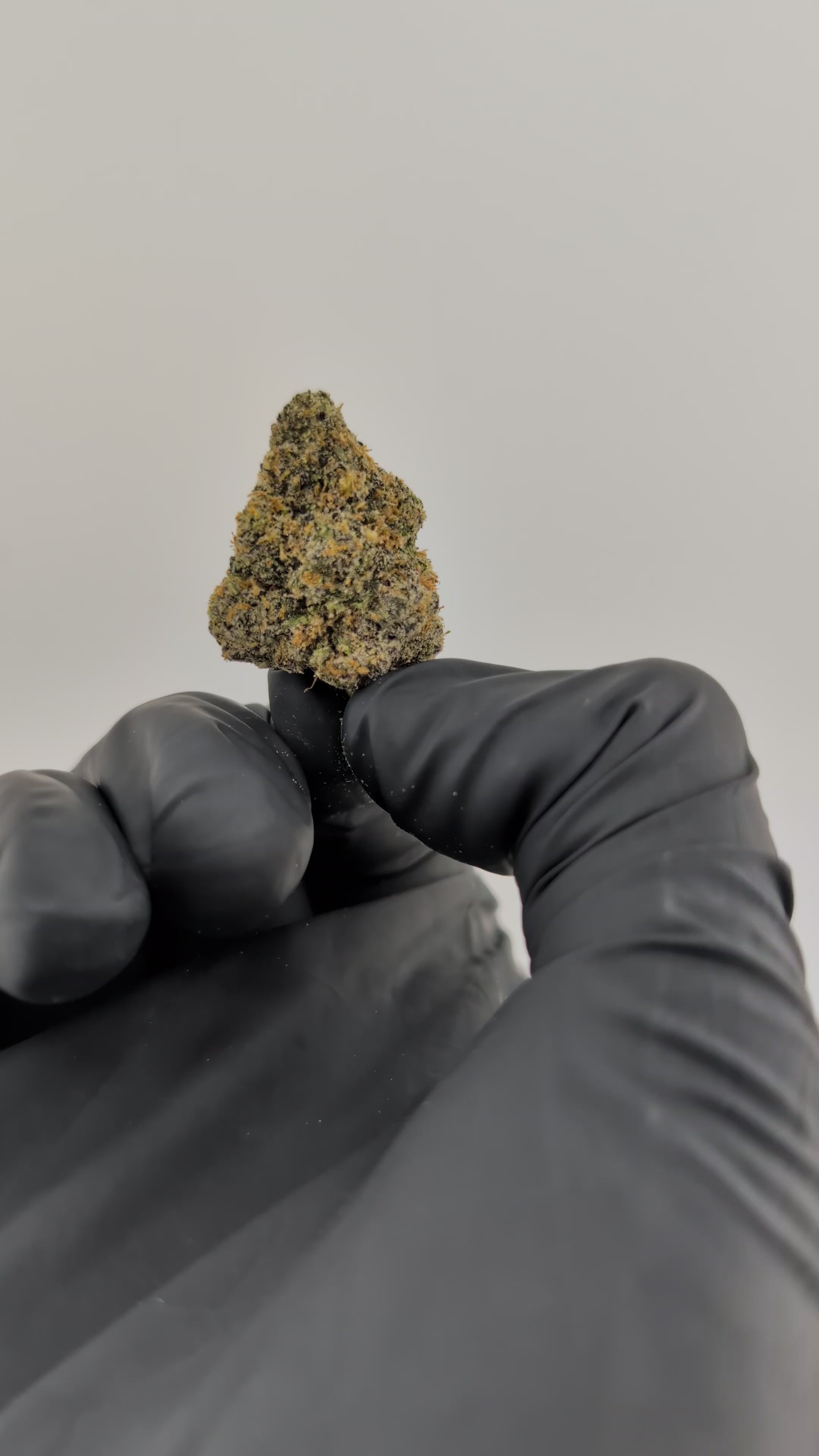 Load video: Bubble Bath Flower