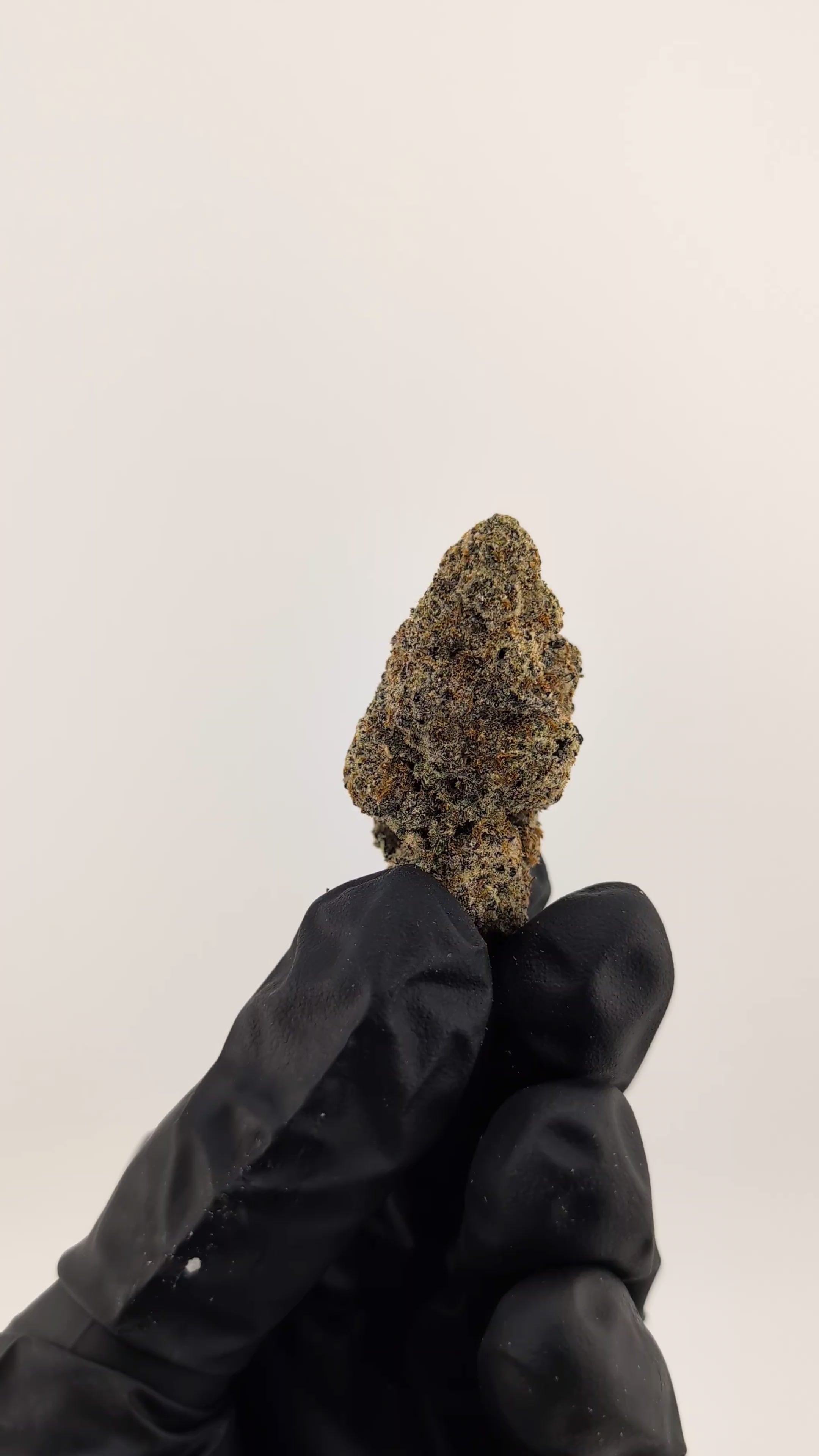 Load video: Orange Cheesecake Flower