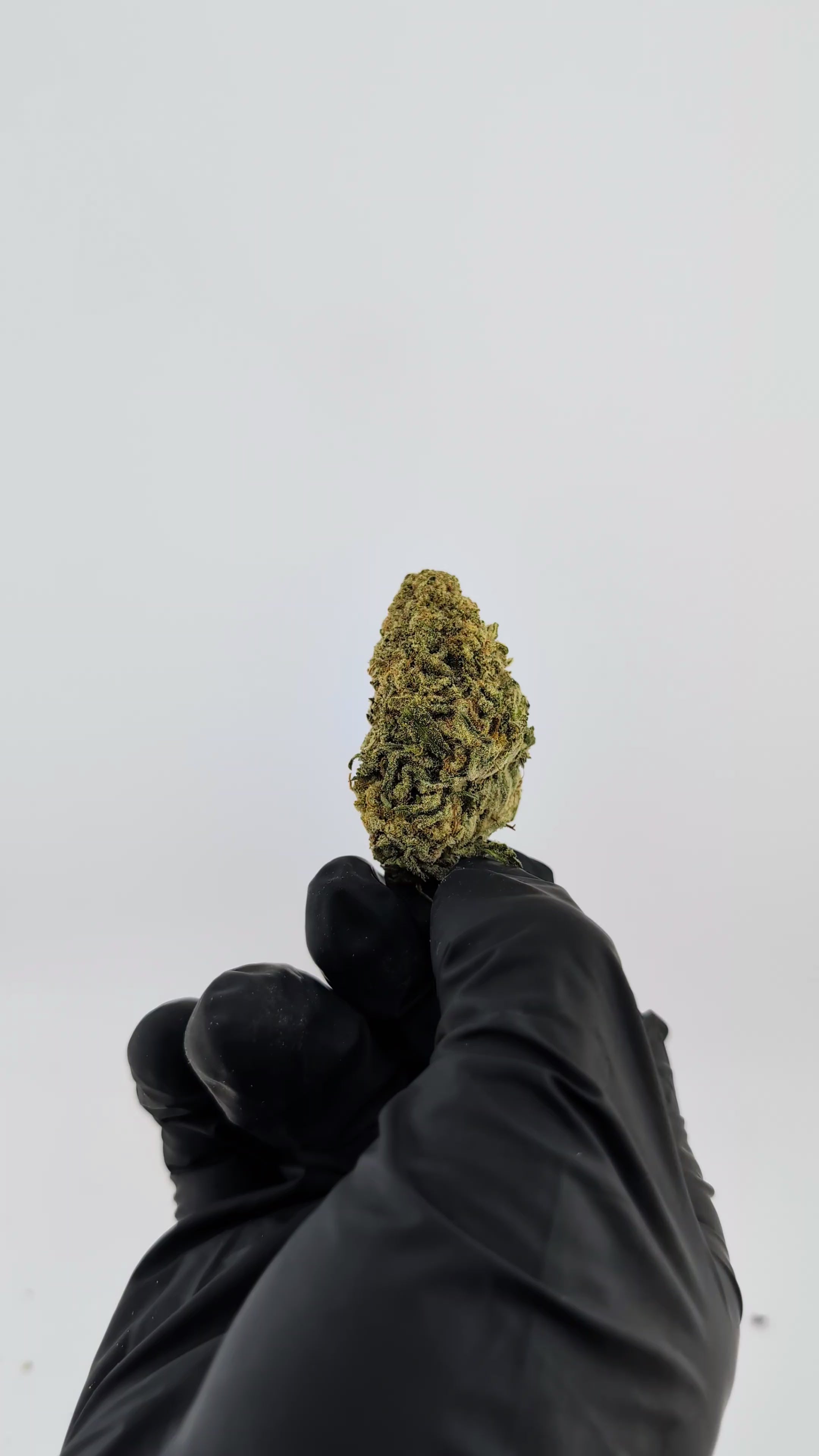 Load video: Jet Fuel OG- 21.88%- Legendary Flower