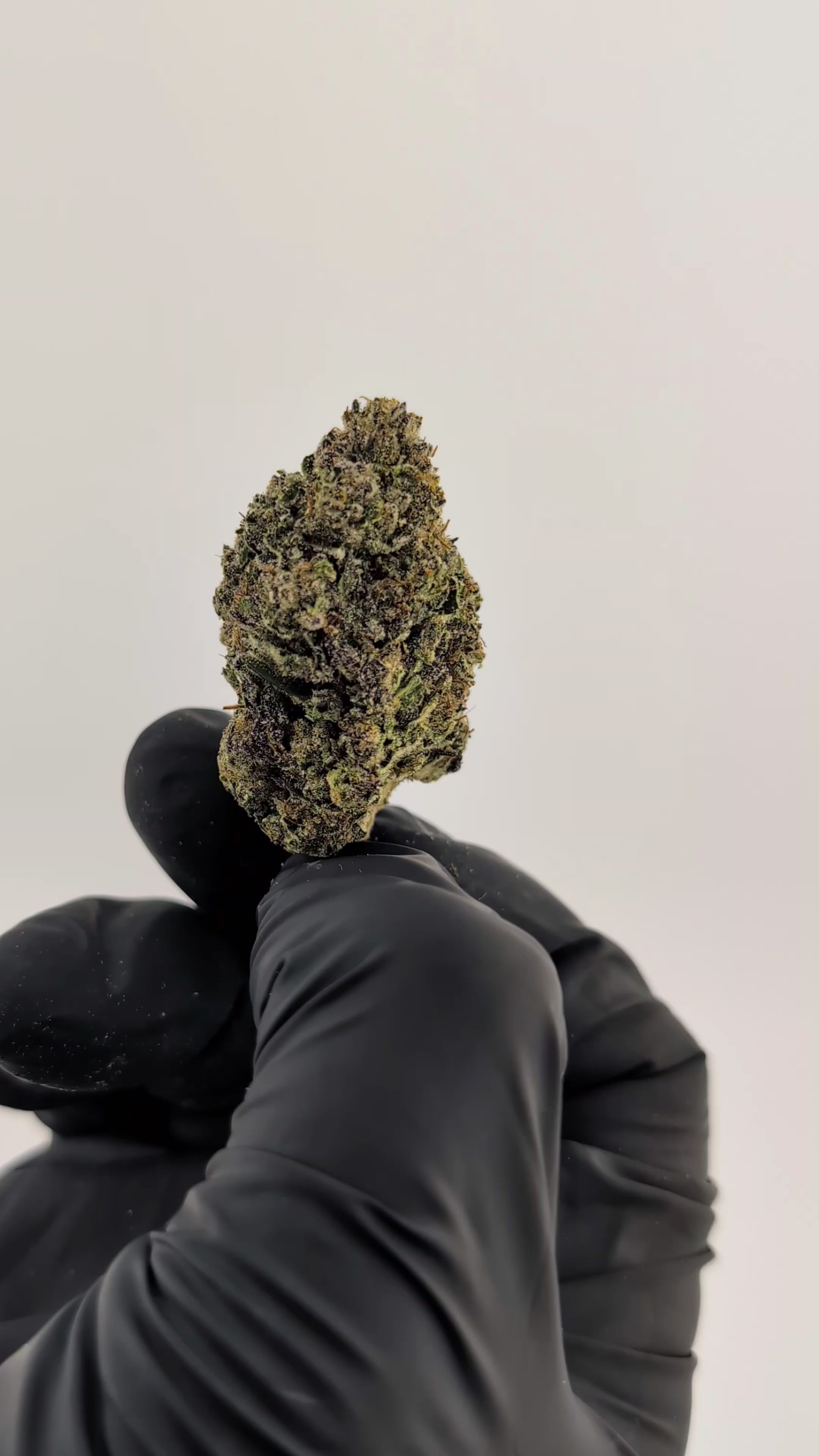 Load video: Coffee Ice Cream Flower