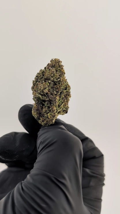 Coffee Ice Cream Flower