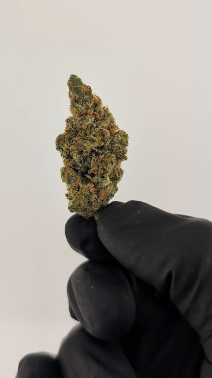 Amnesia Haze - 22.11% - Exotic Flower