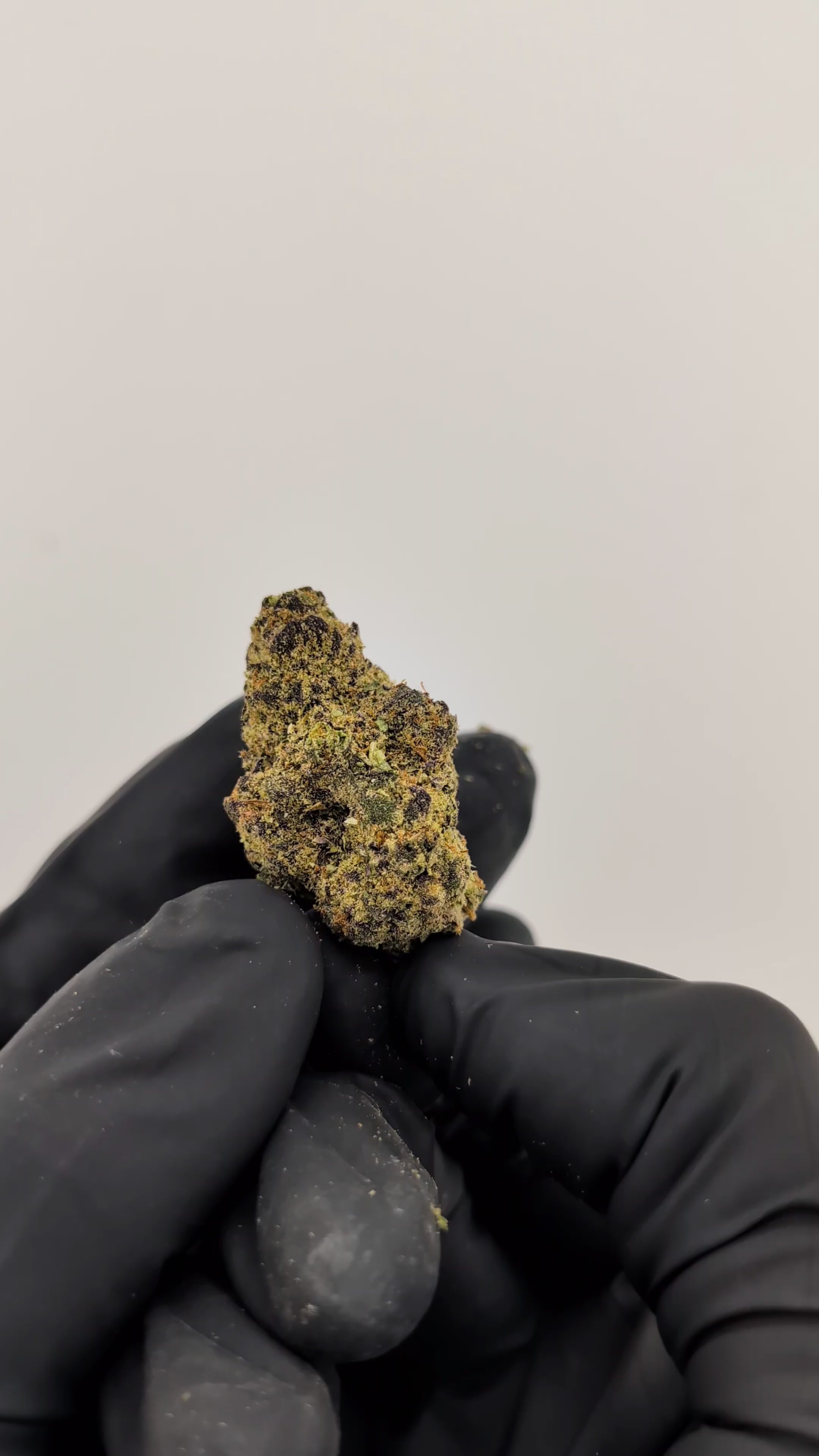 Load video: IDK Flower