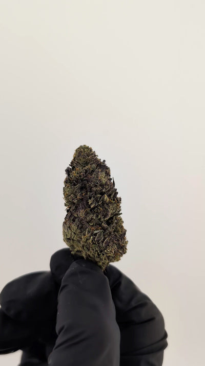 Blue Nerdz Flower