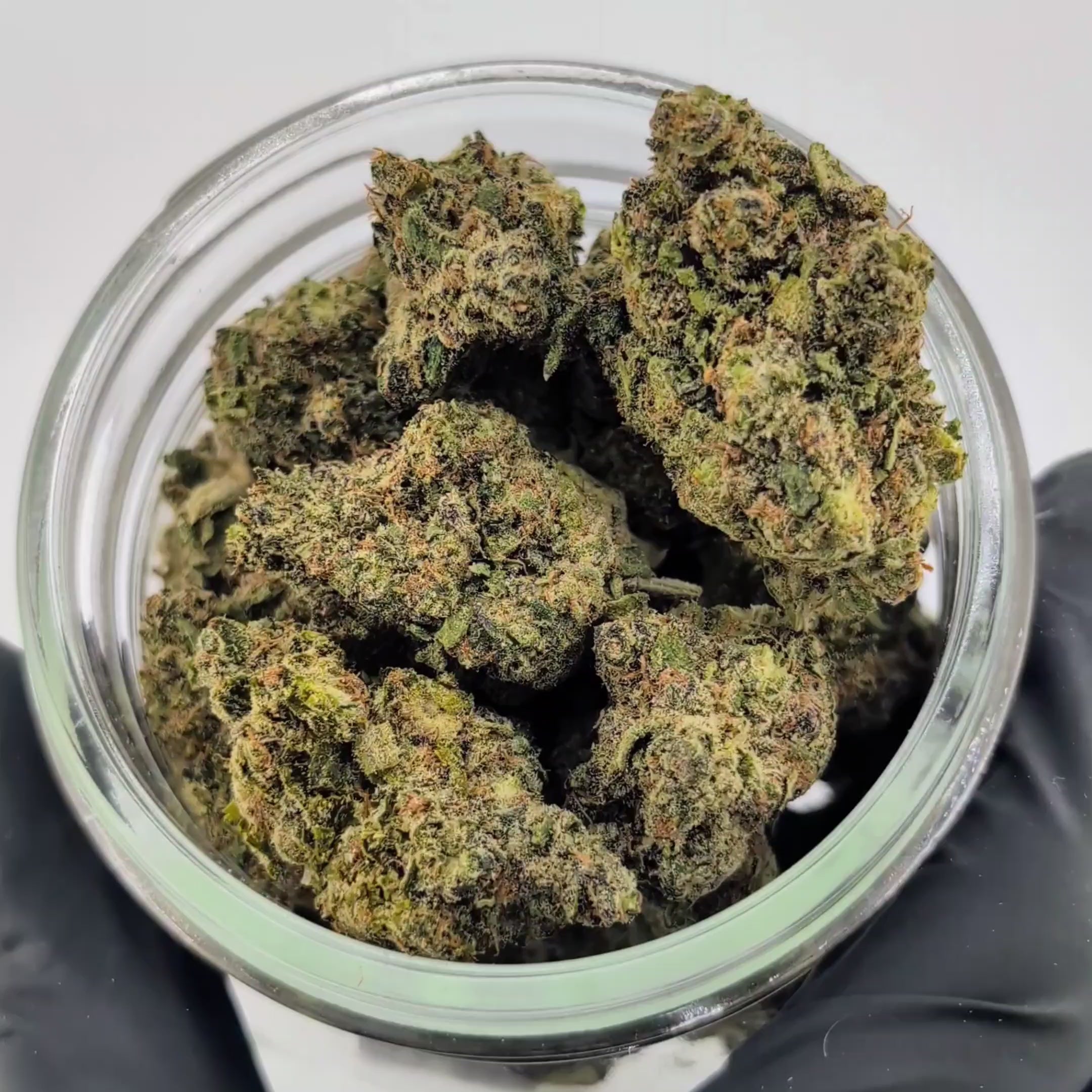 Load video: Astro Pie - 25.86%- Legendary Flower