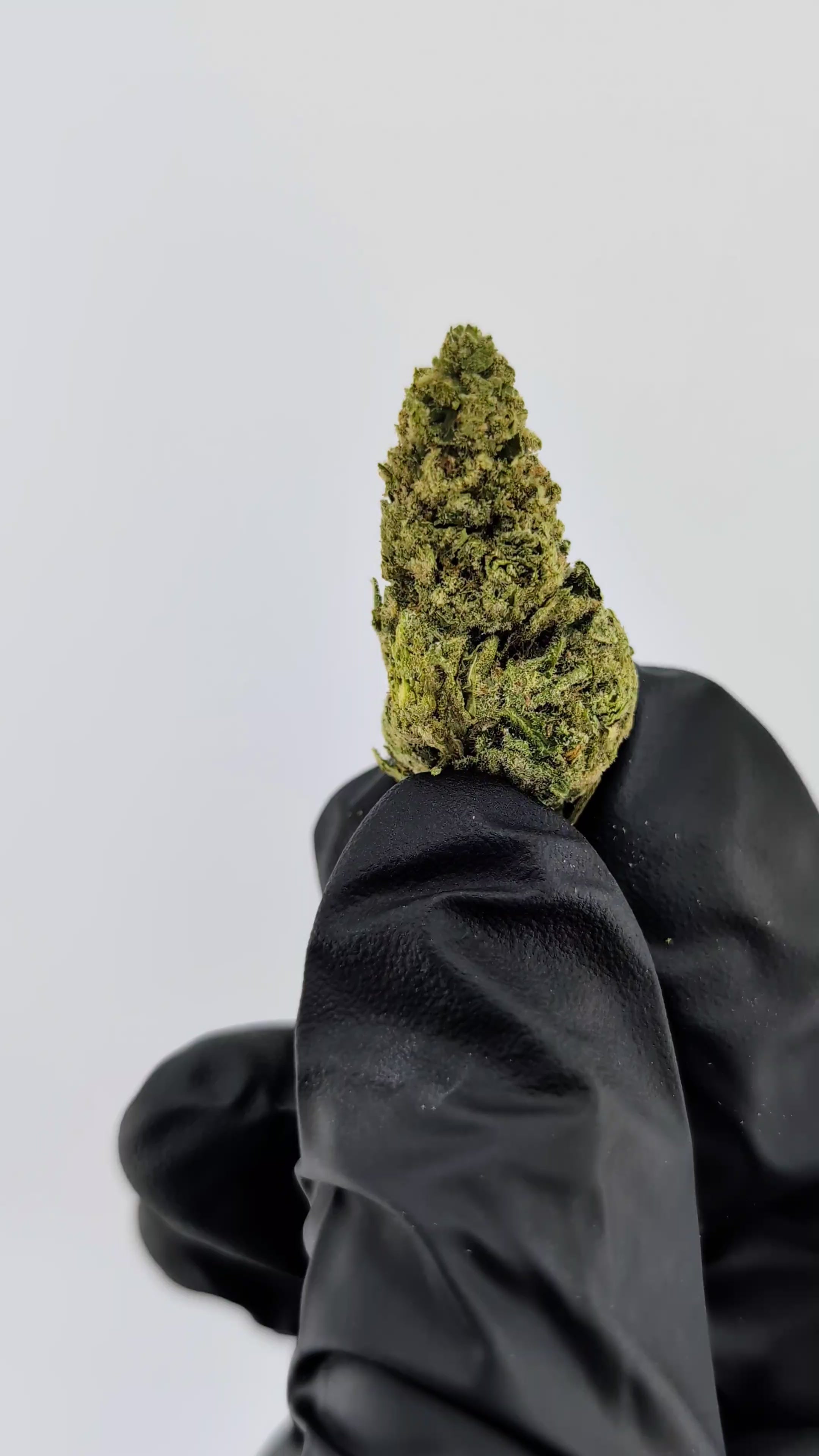 Load video: Mac-1 - 26.92%- Strong Flower