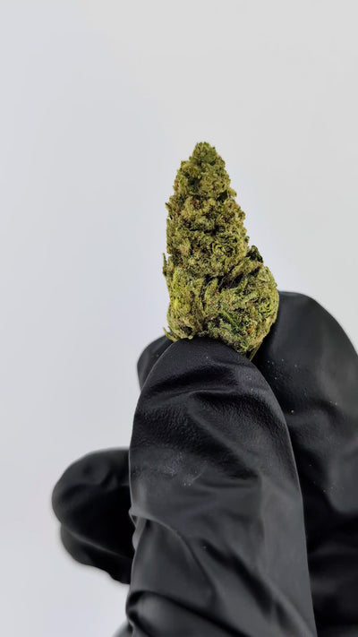 Mac-1 - 26.92%- Exotic Flower