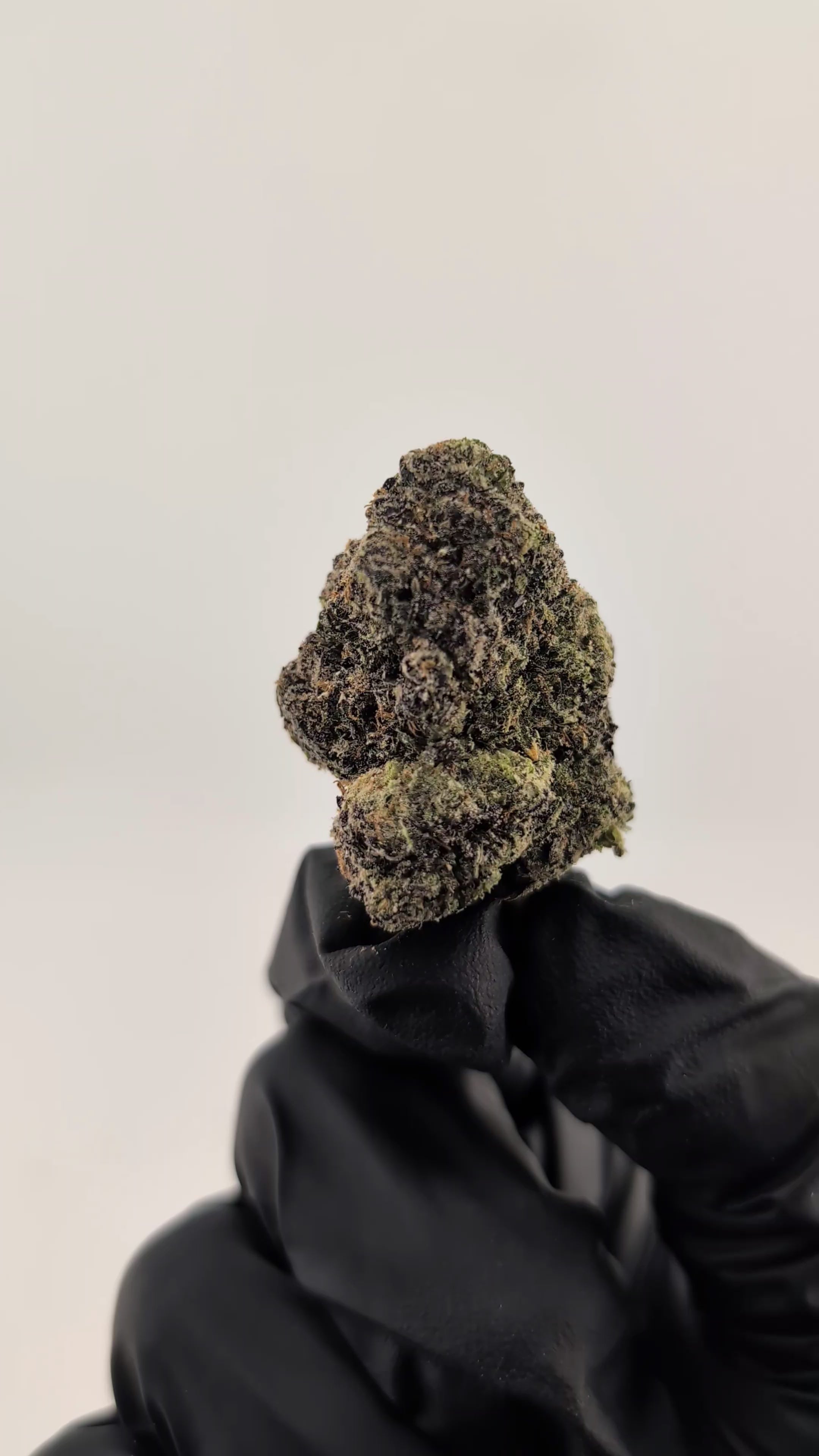 Load video: Cherry Taffy Flower