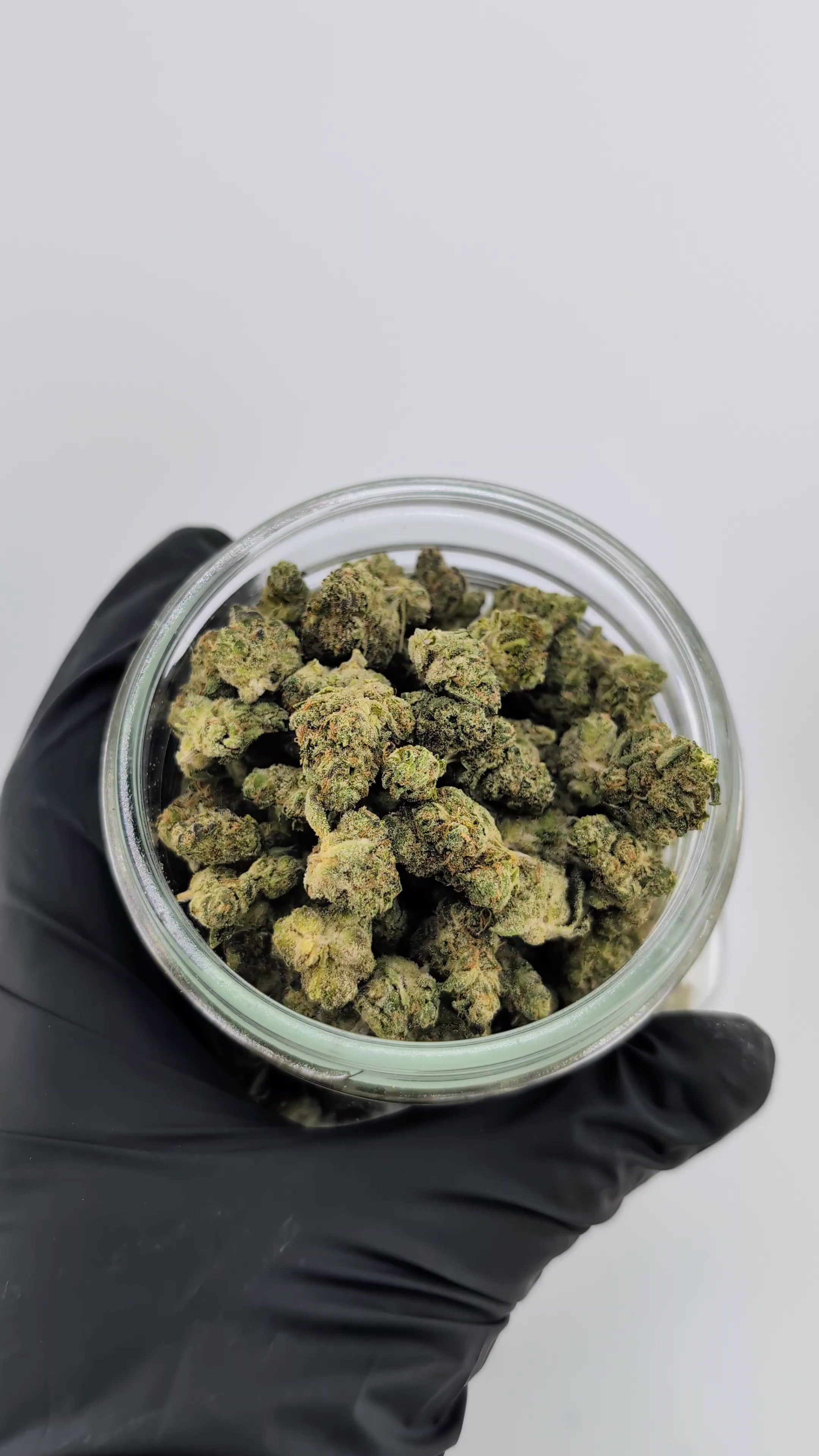 Load video: 🚀⛽ Space Gas - 25.80% - Exotic Flower