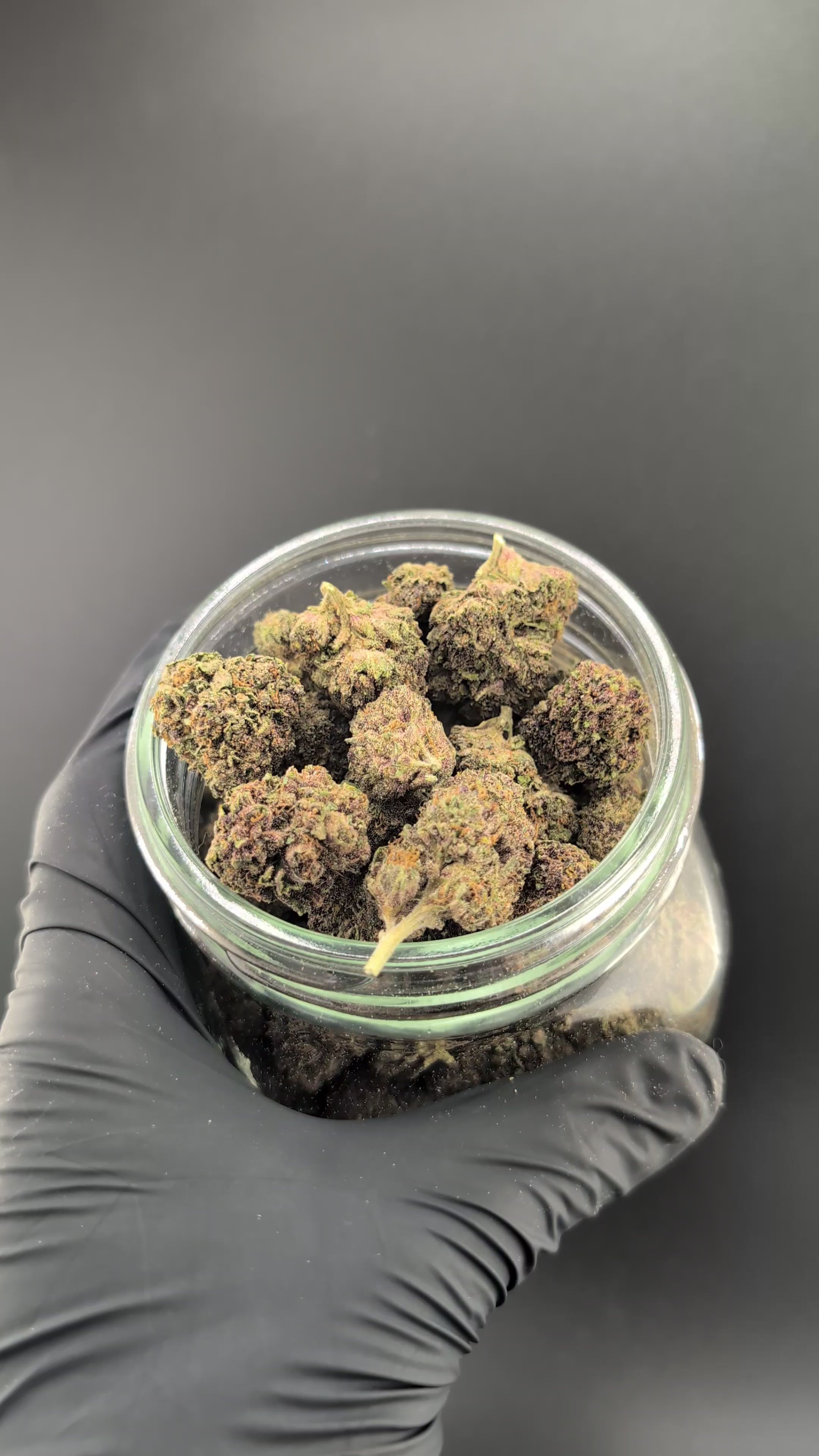 Load video: Purple Churro Flower