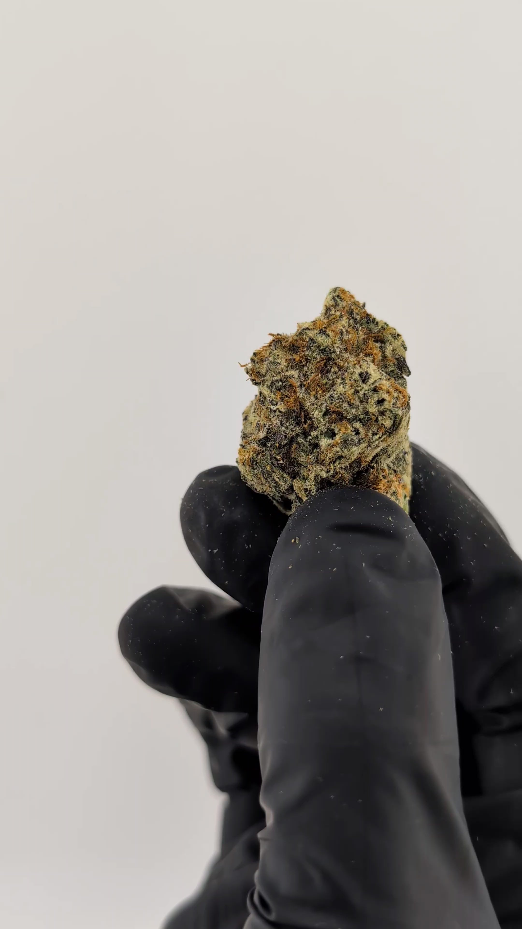 Load video: Blueberry Caviar Flower