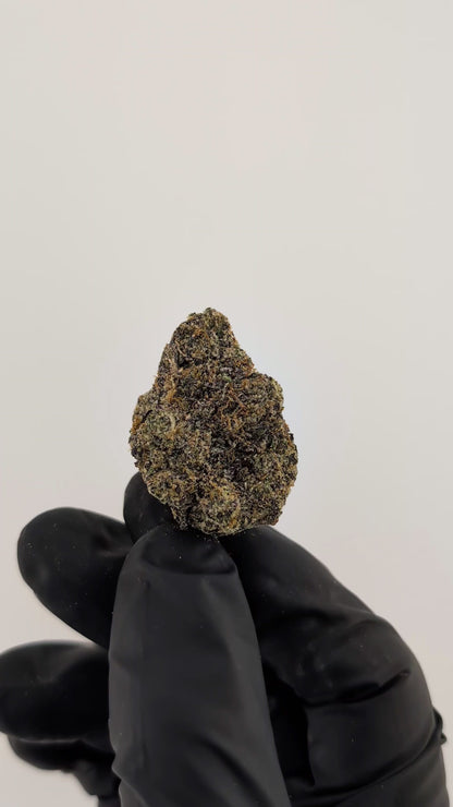 Caramel Apple - 26.14%- Legendary Flower