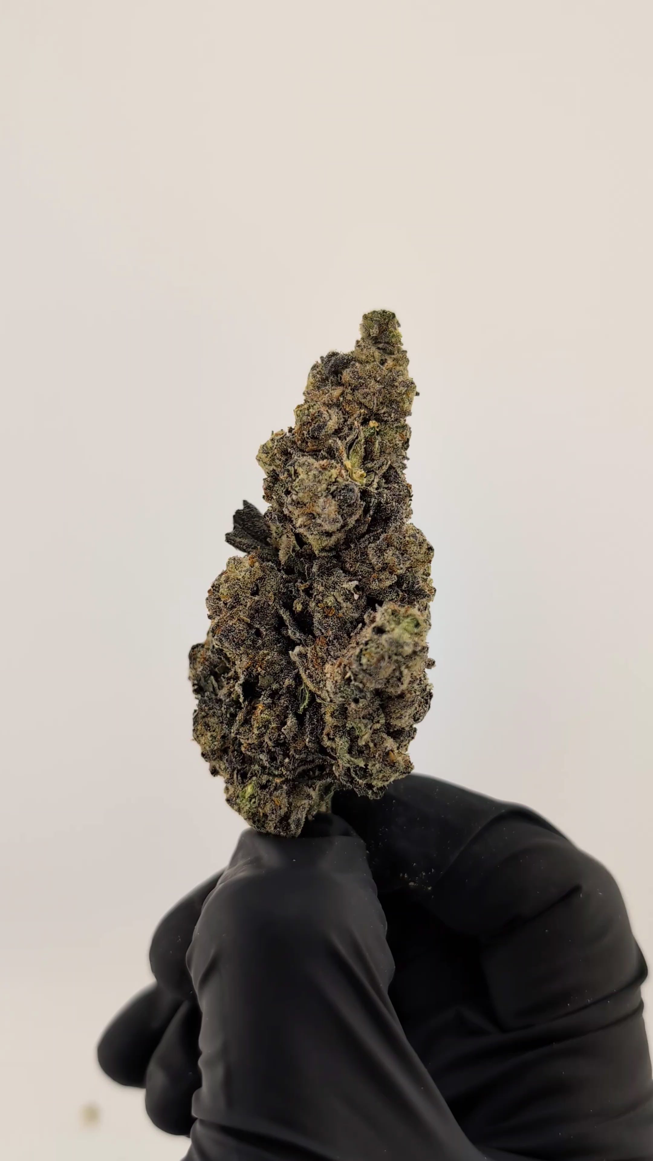 Load video: Banana Runtz Flower