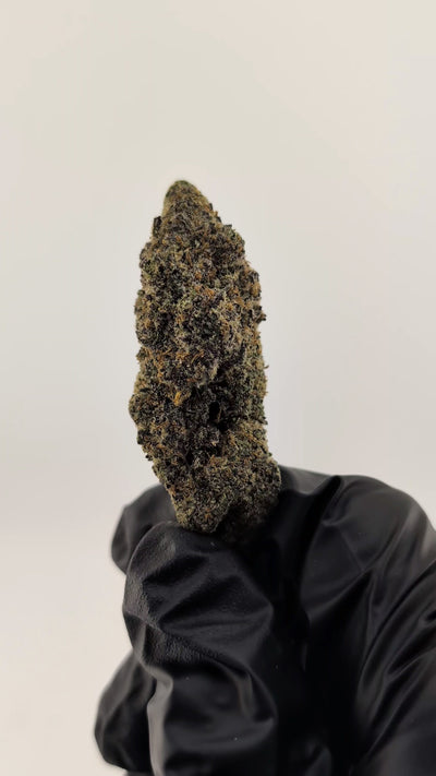 Black Cherry Flower