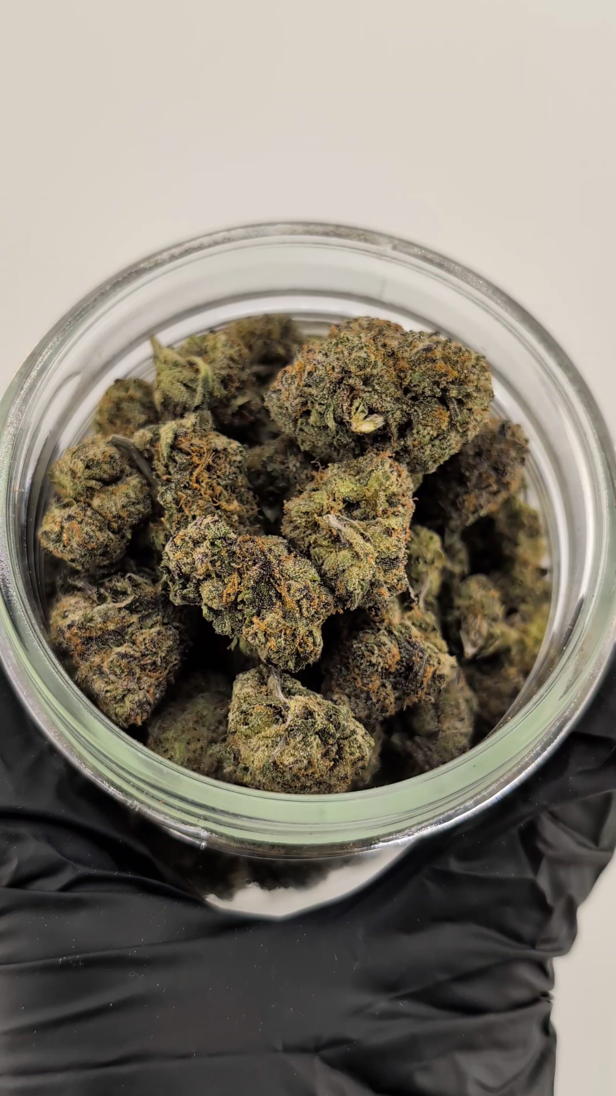 Load video: Jolly Rancher Flower