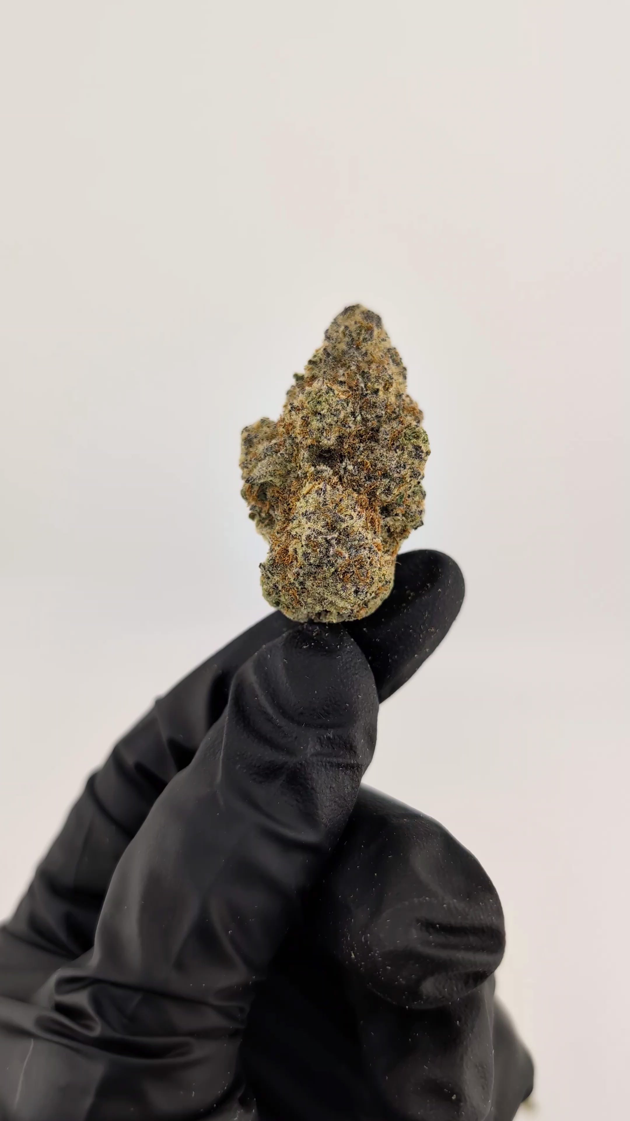 Load video: Dantes Vineyard Flower