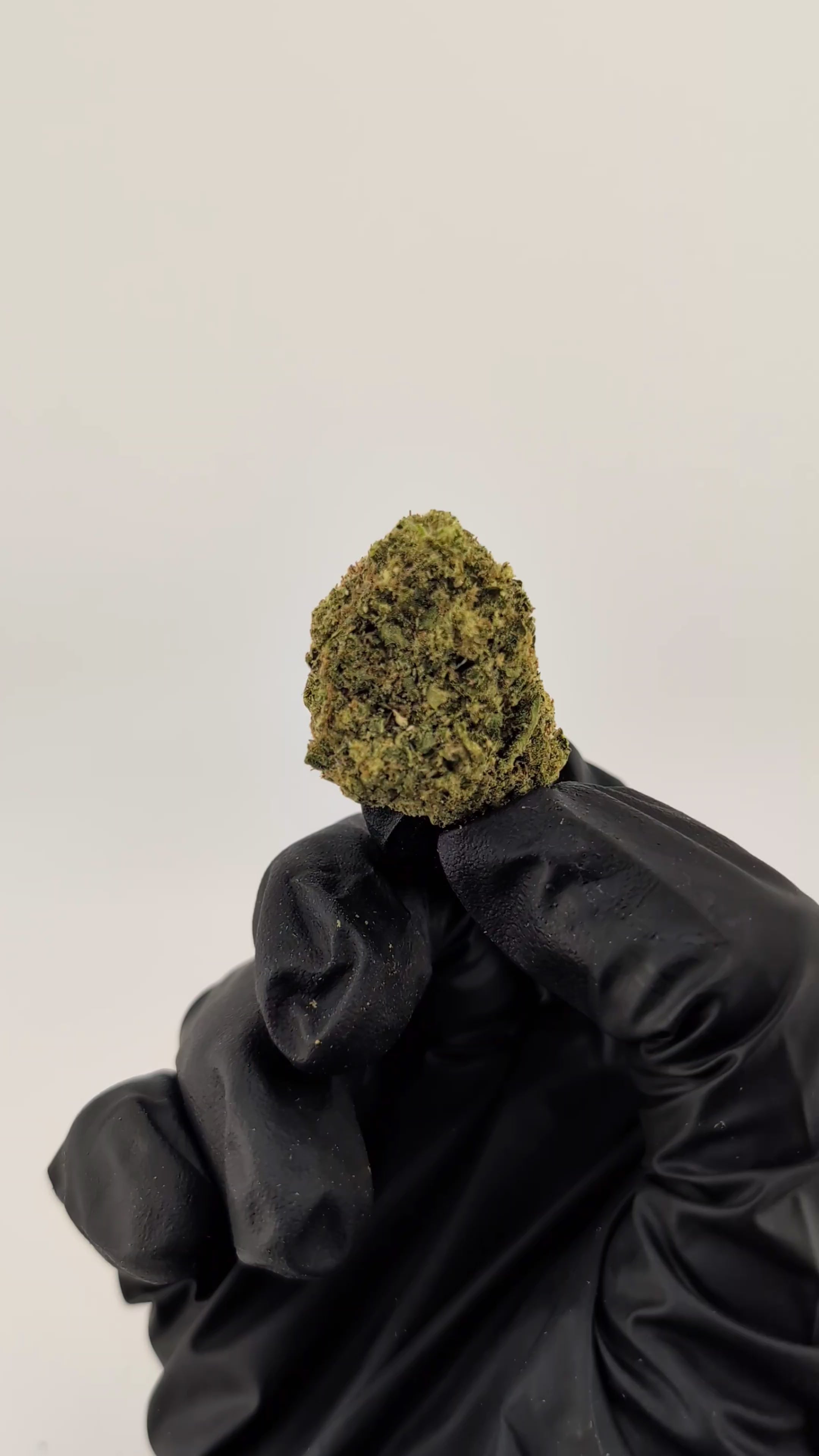 Kandy Runtz Flower
