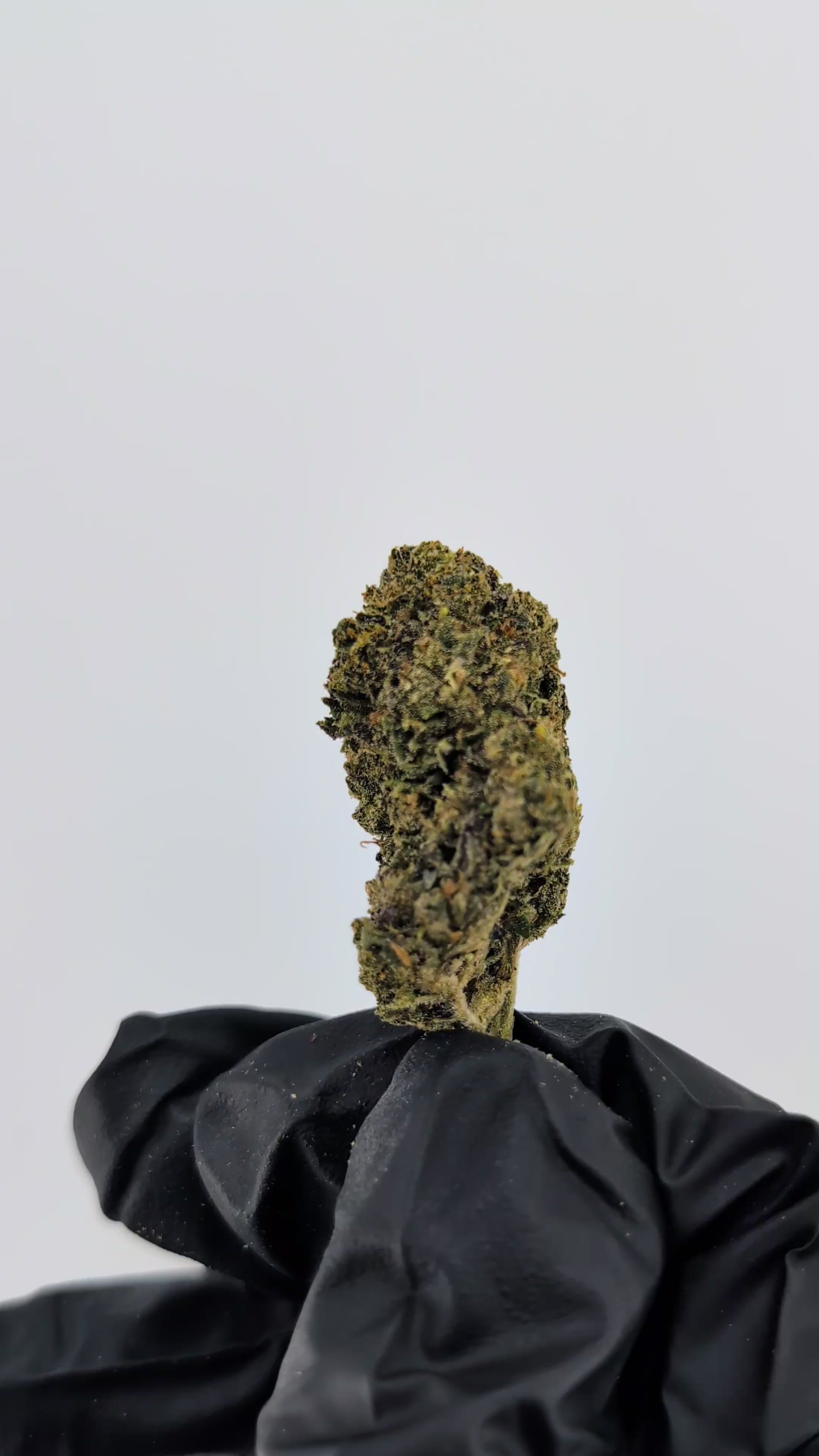 Load video: Runtz OG 22.18%- Strong Flower