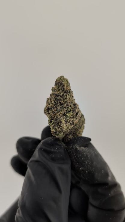 Purple Dream - 23.05%- Legendary Flower