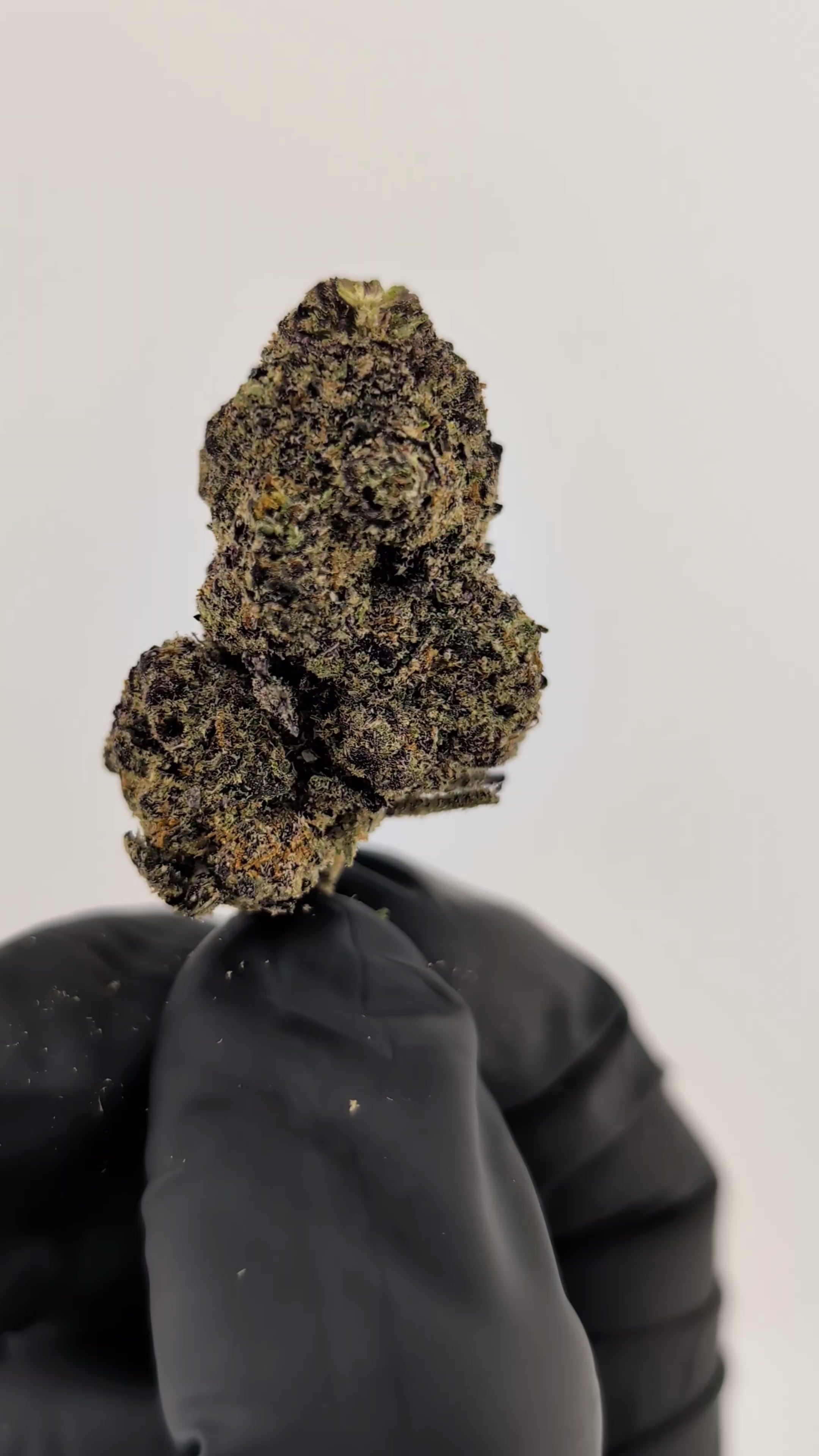 Load video: Project 4516 Flower