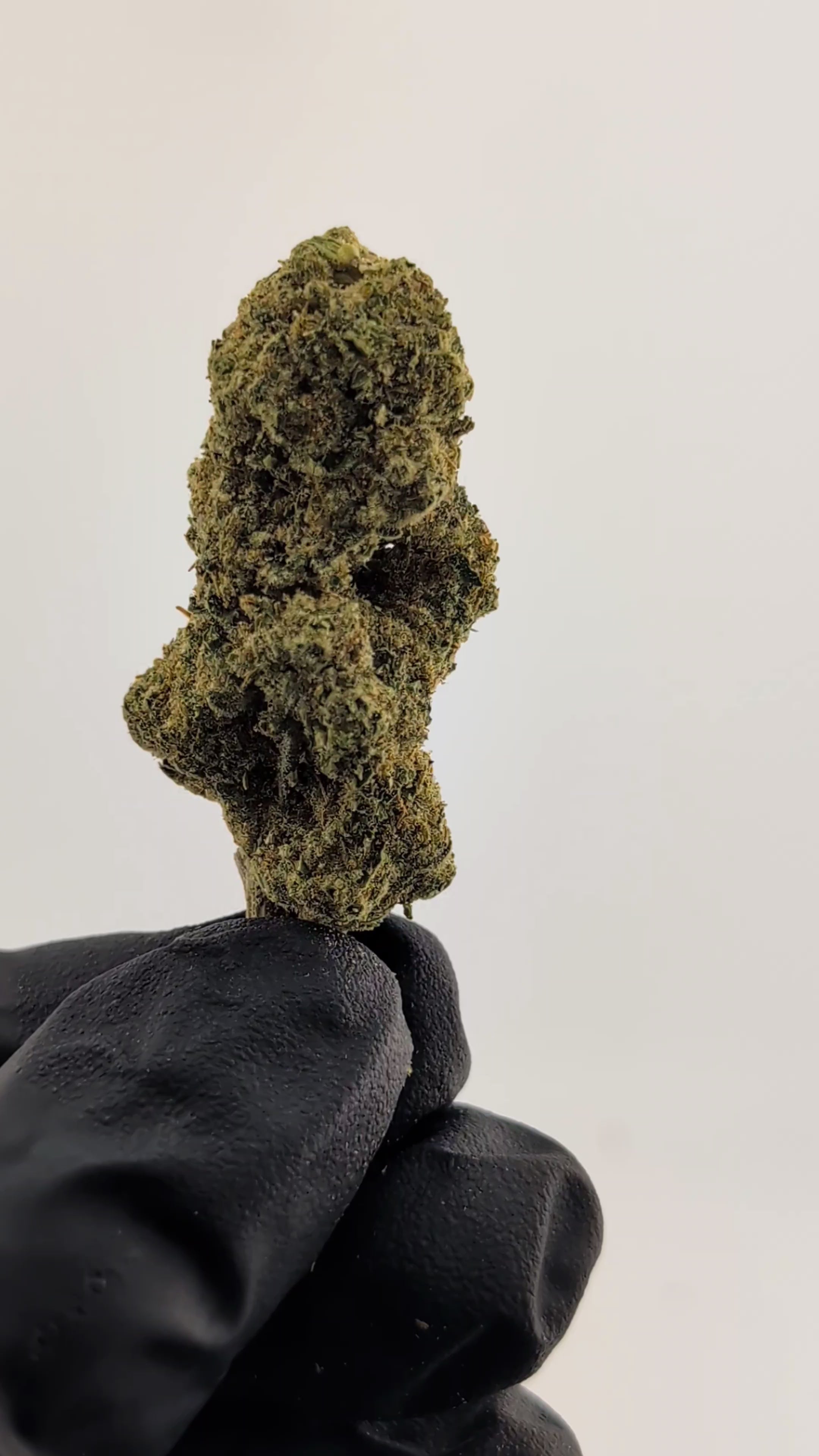 Load video: 24K Flower