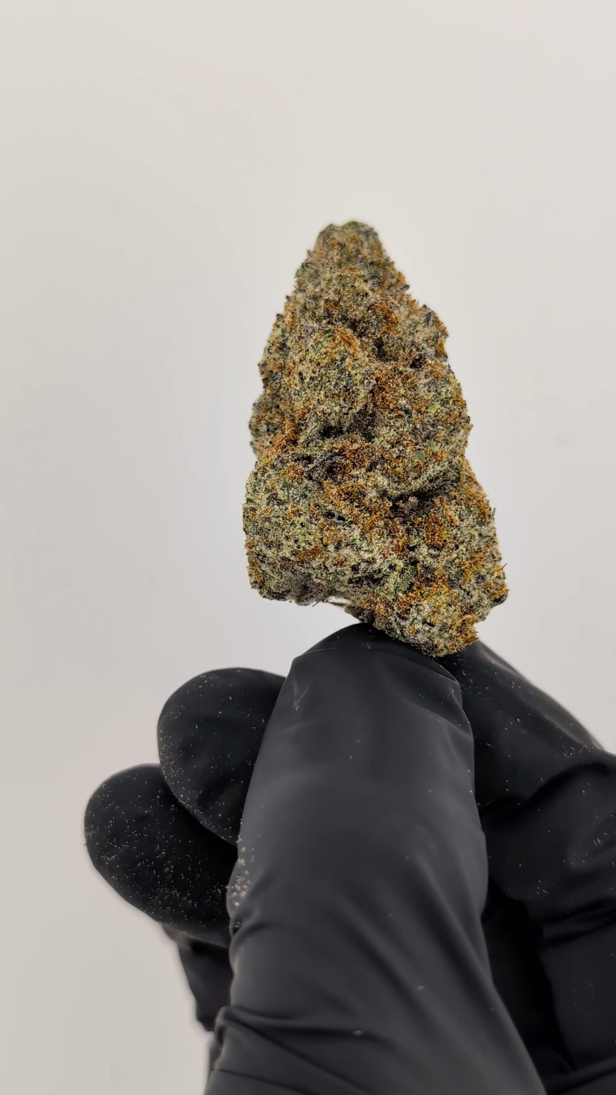 Load video: E-85 Flower