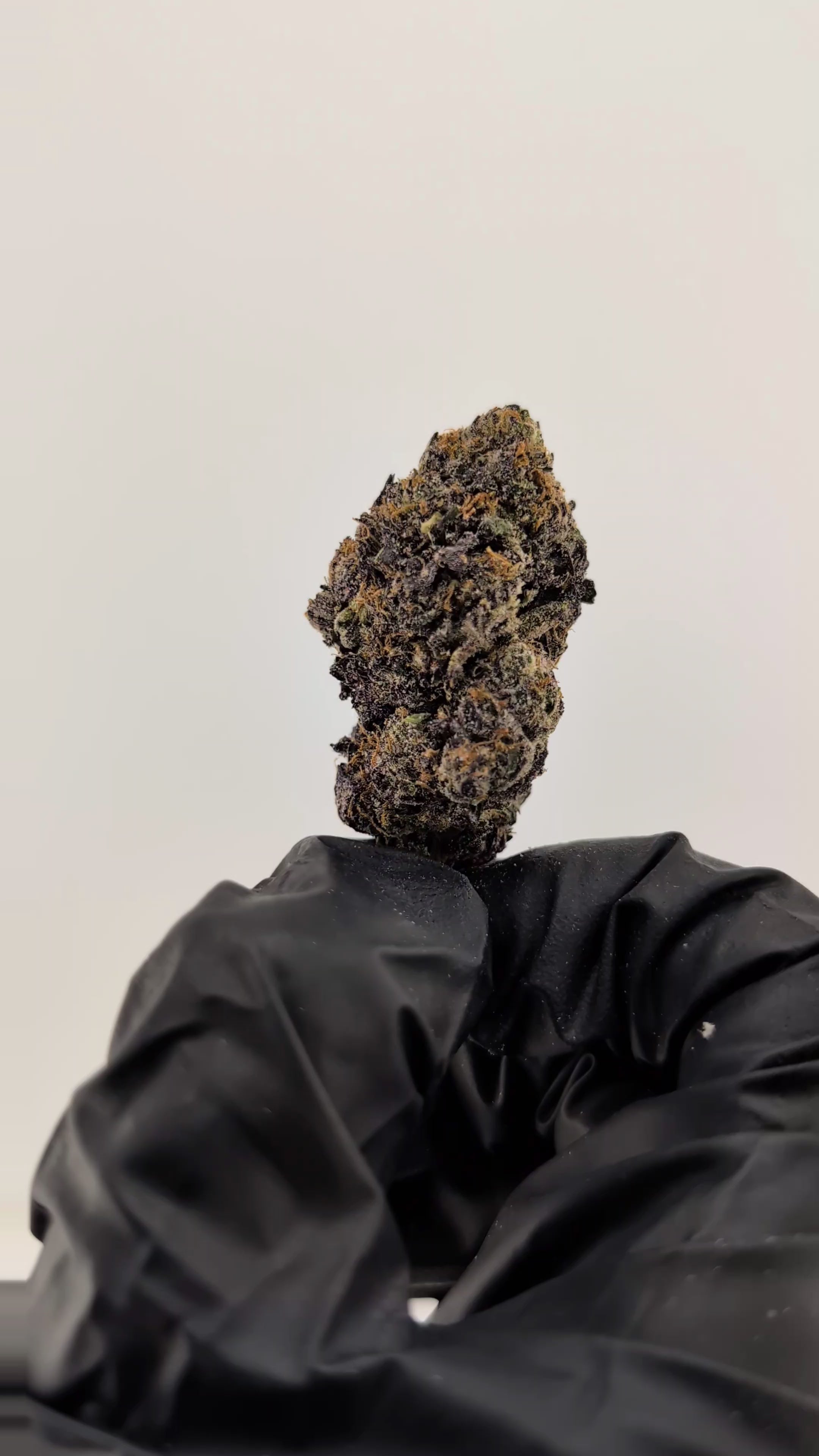 Load video: Lucky Charms Flower