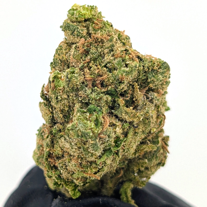 Sugar Bomb - 25.17% - Exotic Flower