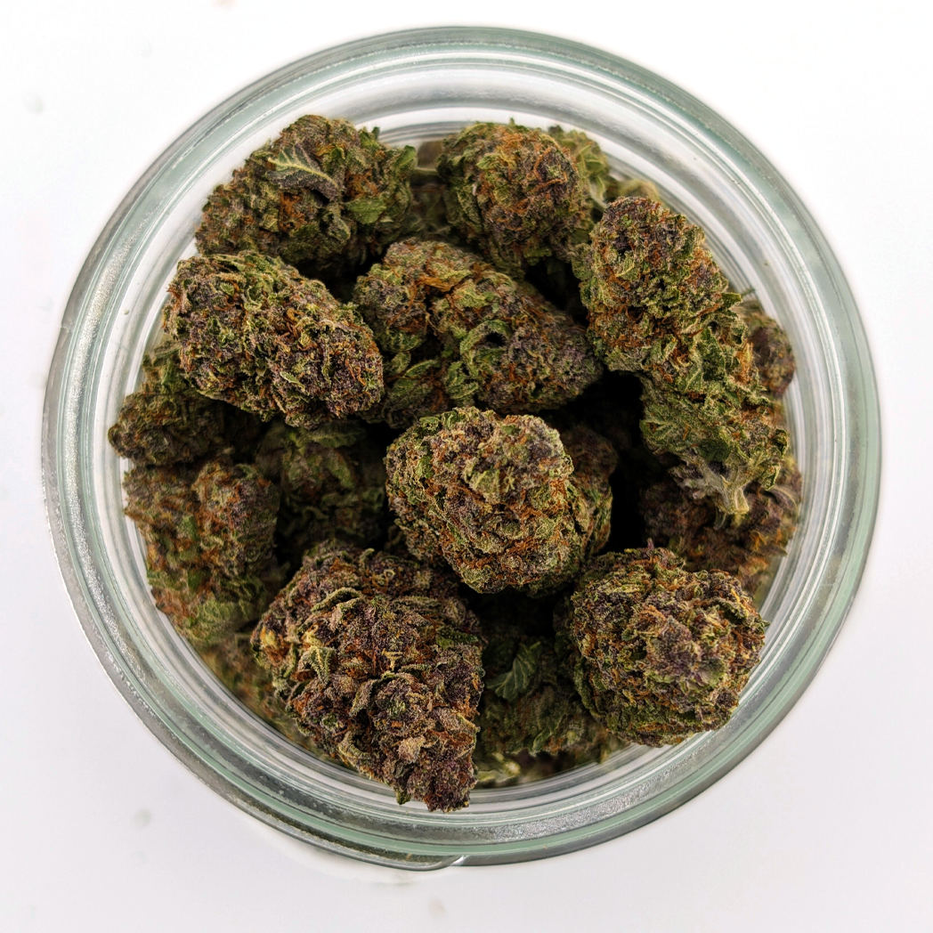 Tropical Summer - 28.63% - Exotic Flower